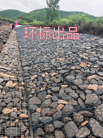 應用案例