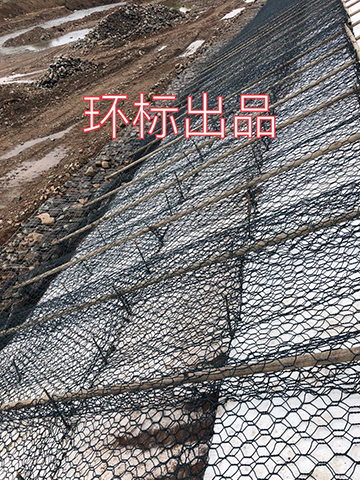 應用案例